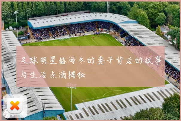 足球明星赫海冬的妻子背后的故事与生活点滴揭秘