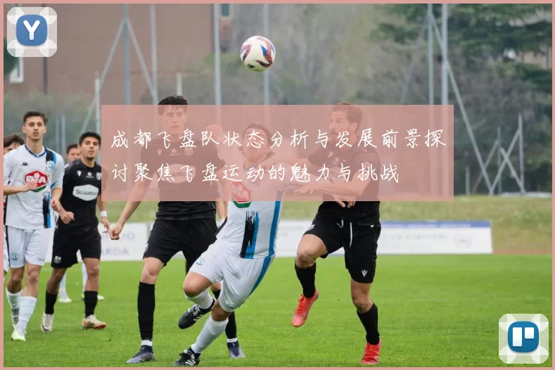 成都飞盘队状态分析与发展前景探讨聚焦飞盘运动的魅力与挑战