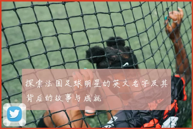 探索法国足球明星的英文名字及其背后的故事与成就