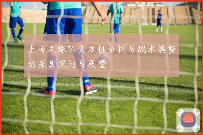 上海足球队灵活性分析与战术调整的深度探讨与展望
