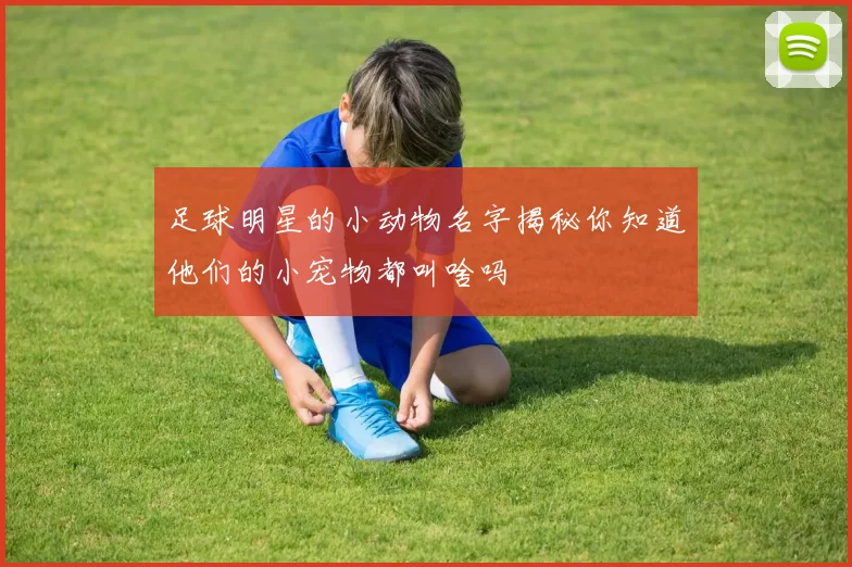 足球明星的小动物名字揭秘你知道他们的小宠物都叫啥吗