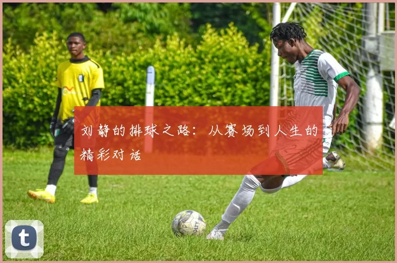 刘静的排球之路：从赛场到人生的精彩对话
