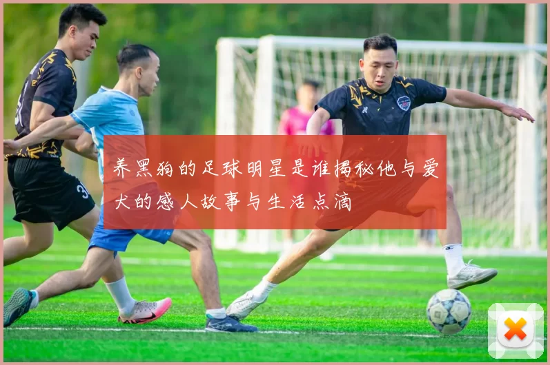 养黑狗的足球明星是谁揭秘他与爱犬的感人故事与生活点滴