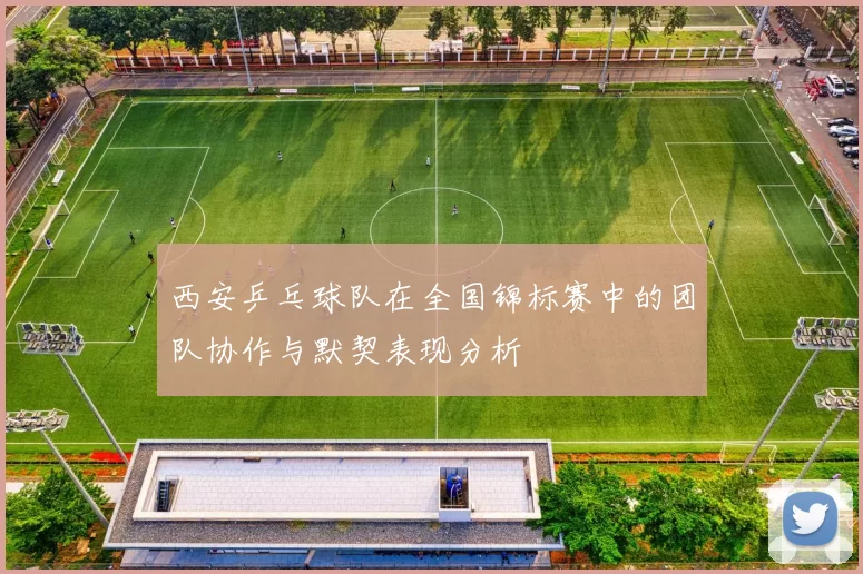 西安乒乓球队在全国锦标赛中的团队协作与默契表现分析