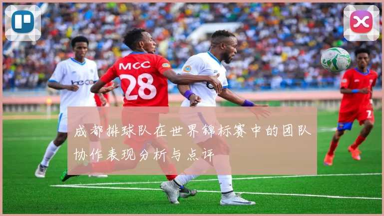 成都排球队在世界锦标赛中的团队协作表现分析与点评