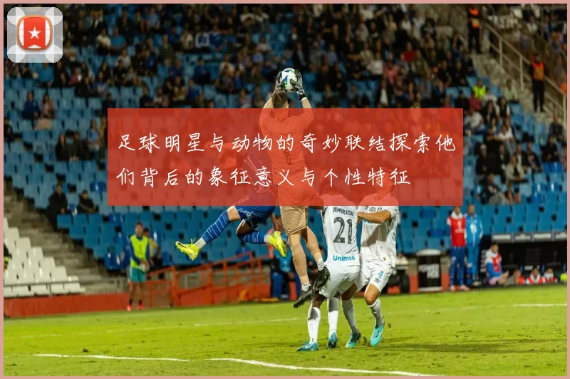 足球明星与动物的奇妙联结探索他们背后的象征意义与个性特征