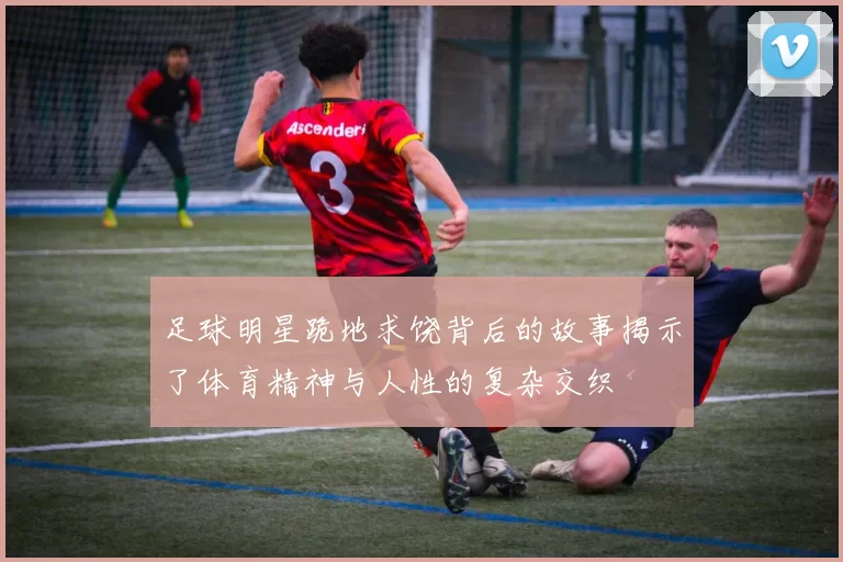 足球明星跪地求饶背后的故事揭示了体育精神与人性的复杂交织