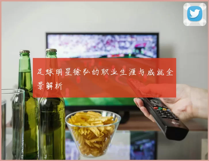 足球明星徐弘的职业生涯与成就全景解析