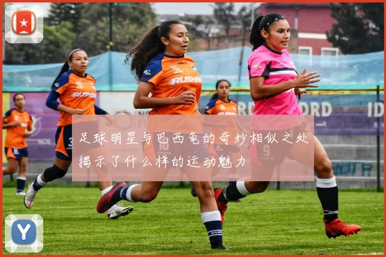 足球明星与巴西龟的奇妙相似之处揭示了什么样的运动魅力