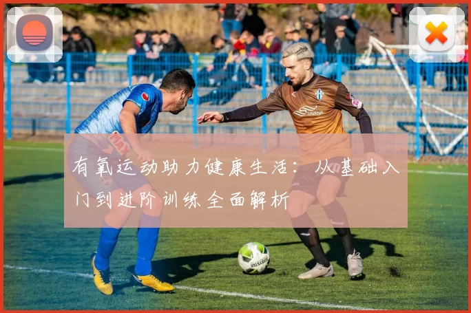 有氧运动助力健康生活：从基础入门到进阶训练全面解析