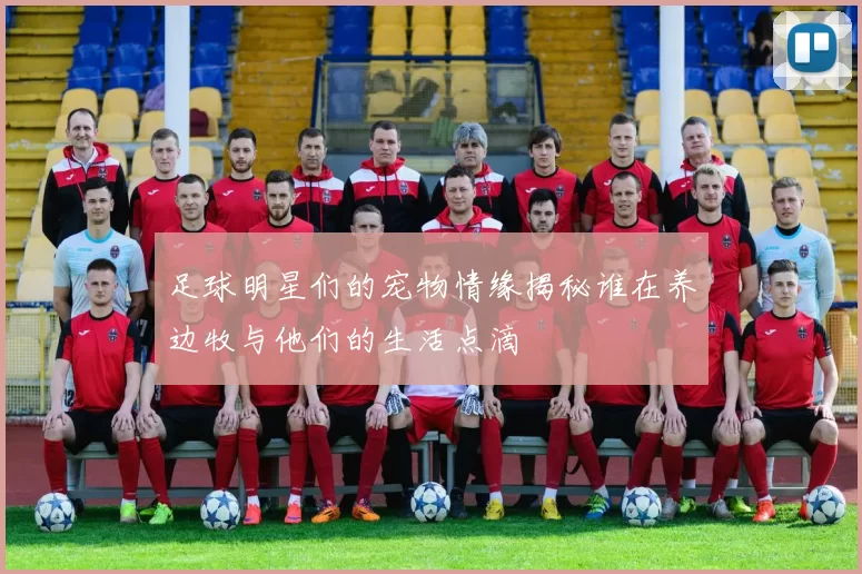 足球明星们的宠物情缘揭秘谁在养边牧与他们的生活点滴