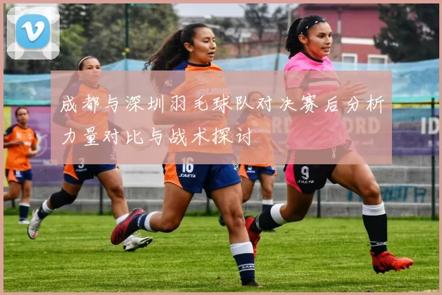成都与深圳羽毛球队对决赛后分析力量对比与战术探讨