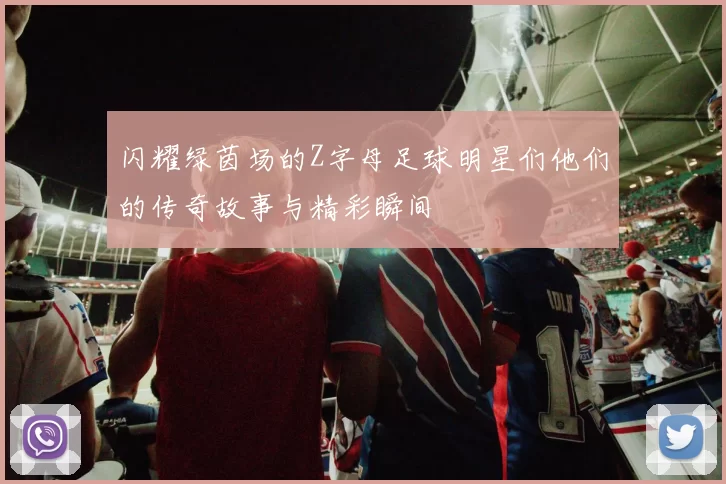 闪耀绿茵场的Z字母足球明星们他们的传奇故事与精彩瞬间
