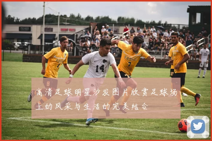 高清足球明星沙发图片欣赏足球场上的风采与生活的完美结合